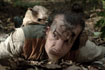 Black Sheep 1